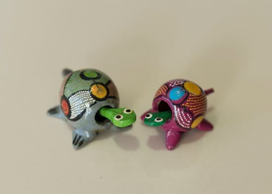 canva souvenir turtles