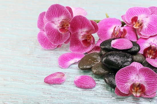 canva spa composition with orchids and pebbles MAD MTbpM3s