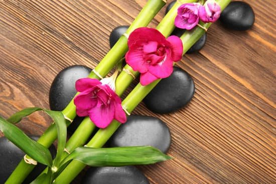 canva spa composition with stones and orchids on wooden background MAD Qm IfFI
