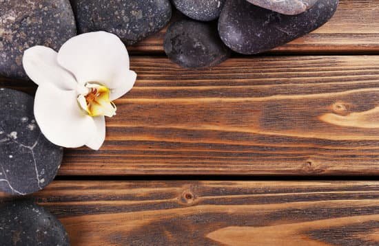 canva spa stones and orchid flower on wooden background MAD