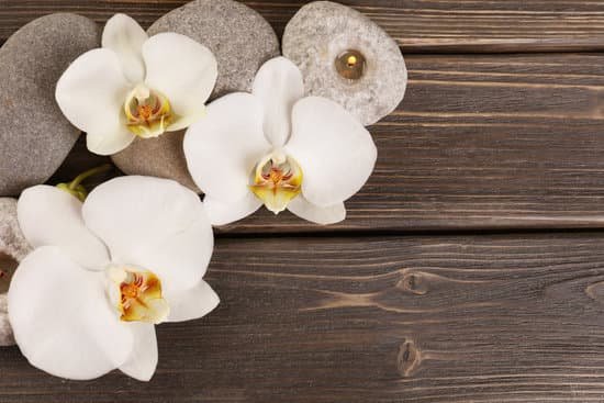 canva spa stones and orchid flowers on wooden background MAD MQZ5Or4