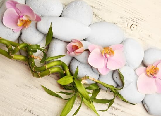 canva spa stones and orchid flowers on wooden background MAD Qk8KIr8