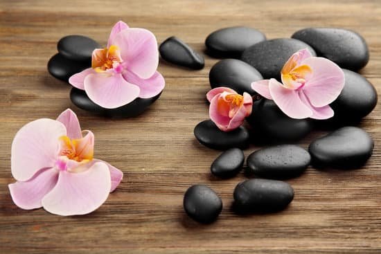 canva spa stones and orchid flowers on wooden background MAD QkwdwKQ