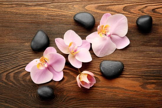 canva spa stones and orchid flowers on wooden background MAD QsmRLWM