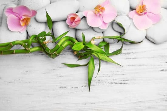 canva spa stones and orchid flowers on wooden background MAD QtBy1MU