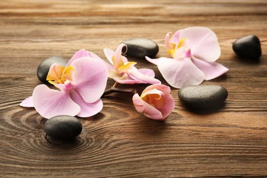 canva spa stones and orchid flowers on wooden background MAD QvzMZII