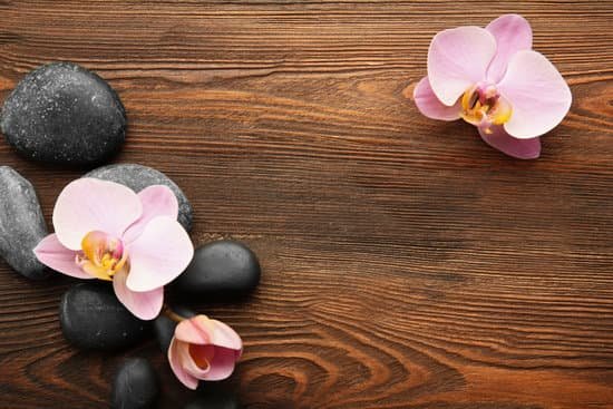 canva spa stones and orchid flowers on wooden surface background MAD QsBoAr8