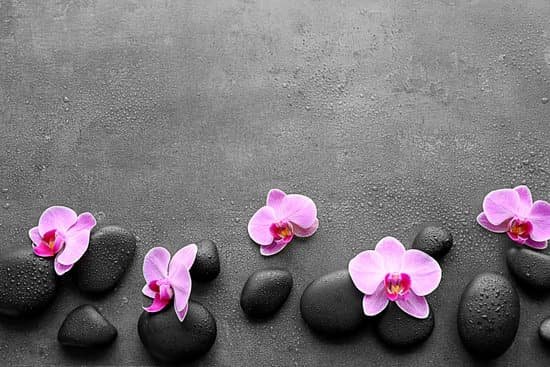 canva spa stones and orchids on dark background MAD Qok QrI