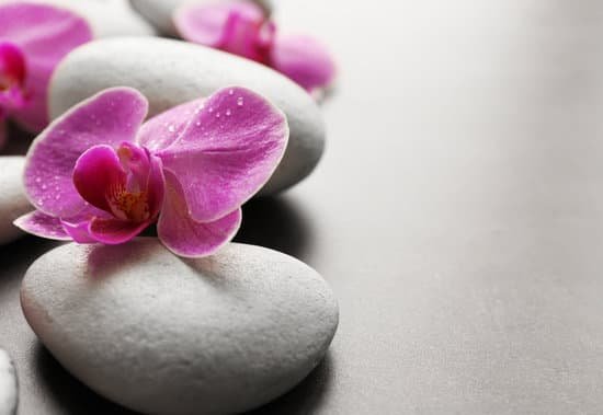 canva spa stones and orchids on grey background MAD Quefiwk