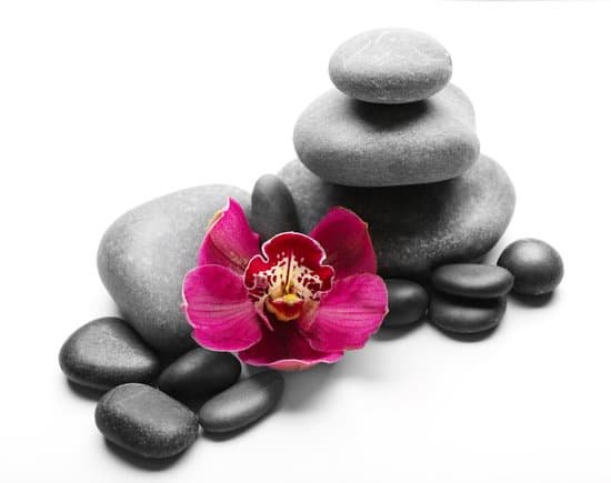 canva spa stones and red orchid isolated on white MAD Qvr3bzc