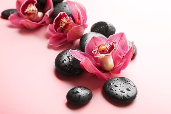 canva spa stones and red orchids on pink background MAD QkFUDwA