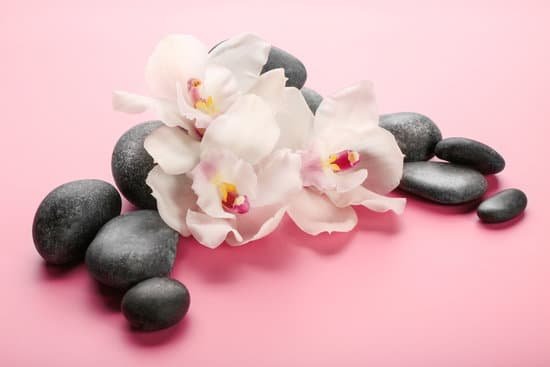 canva spa stones and white orchid on pink background MAD Qos4ngc