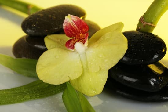 canva spa stones with orchid and bamboo MAD MP5u6zM