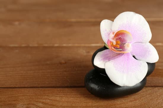canva spa stones with orchid on wooden background MAD MDdJqnQ