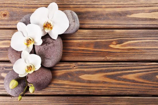 canva spa stones with orchids copy space MAD MV6UgXA