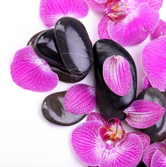 canva spa stones with purple orchid petals MAD MT0Br7M