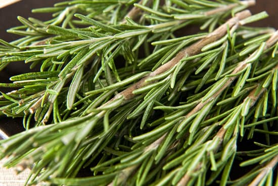 canva sprigs of fresh rosemary MAEOrep7KfU