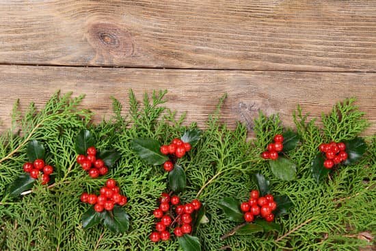 canva stem of fir and mistletoe on wooden background MAD L3eW5pE
