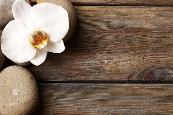 canva stones and orchid on a wooden table MAD MQlKhVA