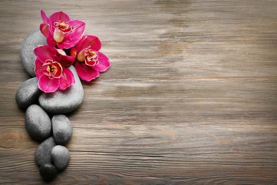 canva stones and red orchid on wooden background MAD QncoyU0