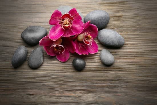 canva stones and red orchid on wooden background MAD