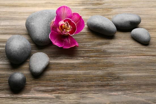 canva stones and red orchid on wooden background MAD QsOUO10