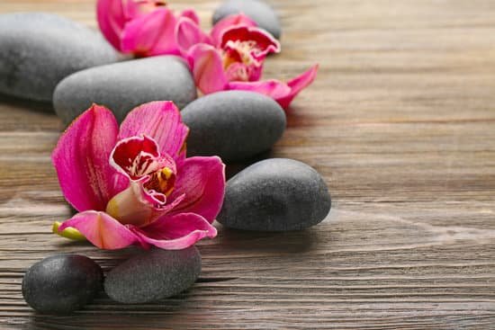 canva stones and red orchid on wooden background MAD QtXQMA0