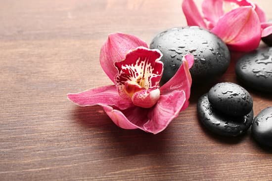 canva stones and red orchid on wooden background MAD QtqhlgU