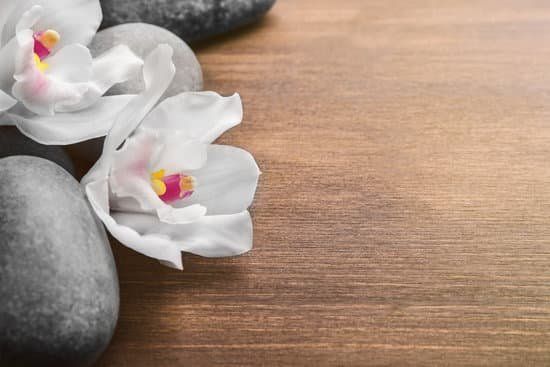 canva stones and white orchid on wooden background MAD QiBCIvE