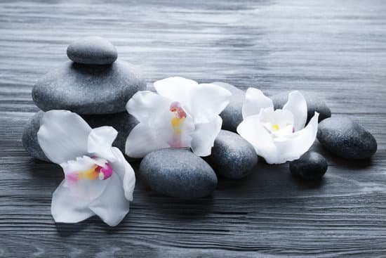 canva stones and white orchid on wooden background MAD QjHwD8I