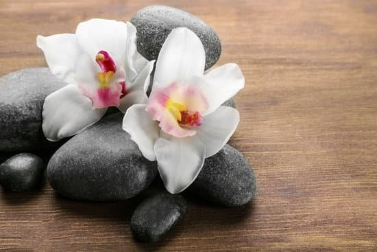 canva stones and white orchid on wooden background MAD QujTz5k