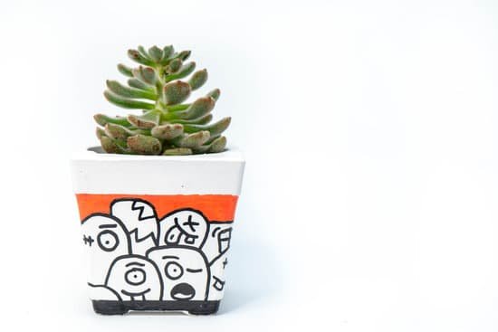 canva succulent plant in a pot with drawing MAEMs9OI52Y