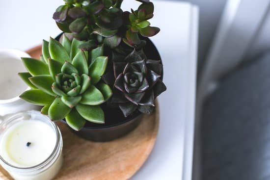 canva succulents and candles on a bedside table MAD uh3Dbvo