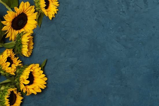 canva sunflowers on a table