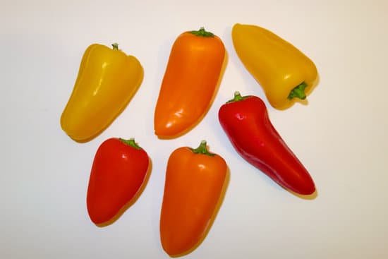 canva sweet paprika MADAO8VT4gc