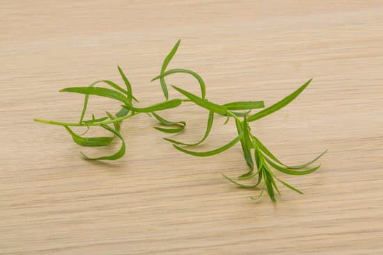 canva tarragon leaves MADBfsp0sAI