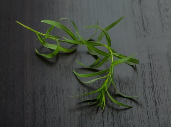 canva tarragon leaves MADBgHTSFoo