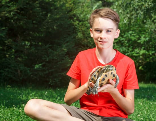 canva teen boy with pet turtle outdoors MAEQ9j1V6BY