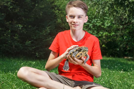 canva teen boy with turtle outdoor MAERsKwFre4