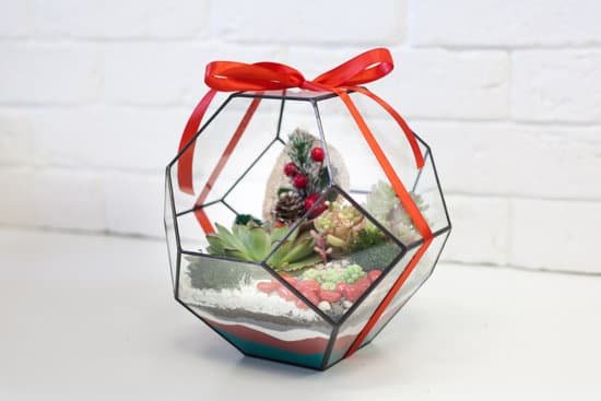 canva terrarium in a glass with ribbon MAEMKBs0uys