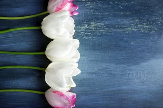 canva tulips on wooden background MAD MWnJI5Q