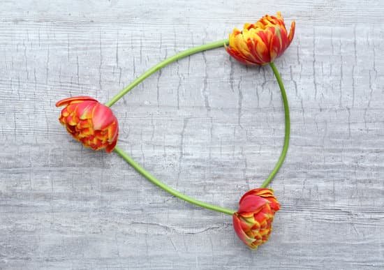 canva tulips with connected stems MAD Me13qUQ