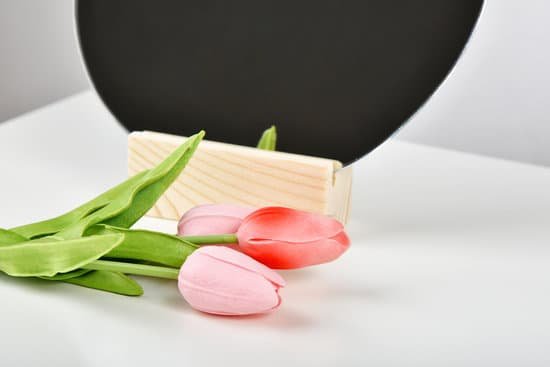 canva tulips with mirror MAEByHcnPSE