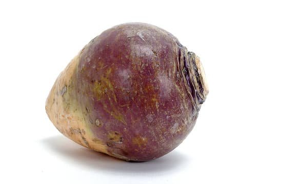 canva turnip MAC9sNT 3Kg