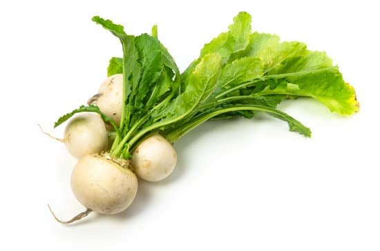 canva turnip MADAsw5oHM0