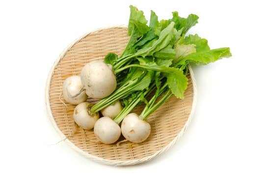 canva turnip MADBFj2QQ90