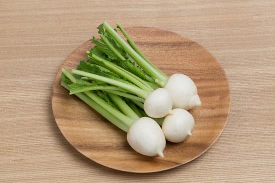 canva turnip MADBVXuXmK0