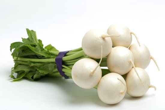 canva turnip MADBW6za6ac