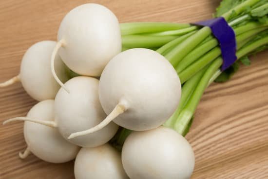 canva turnip MADBXDDvsYs