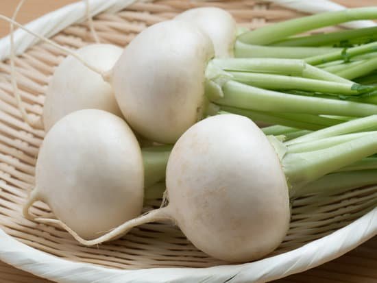 canva turnip MADqZ7 3tUQ